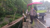 IMG-20250321-WA0193