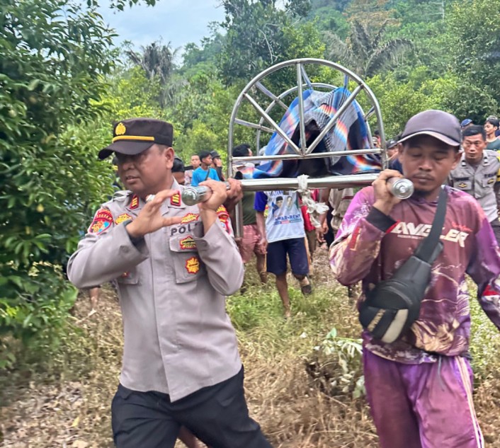 Screenshot_2025_1007_123611