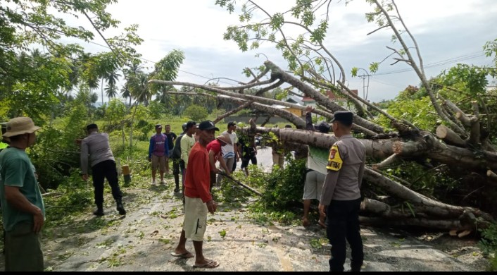 Screenshot_2025_1009_195451