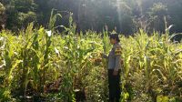 IMG-20260203-WA0070