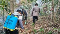 IMG-20260925-WA0018