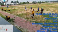 IMG-20261023-WA0161