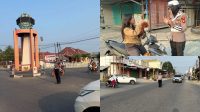 IMG_20261013_120125